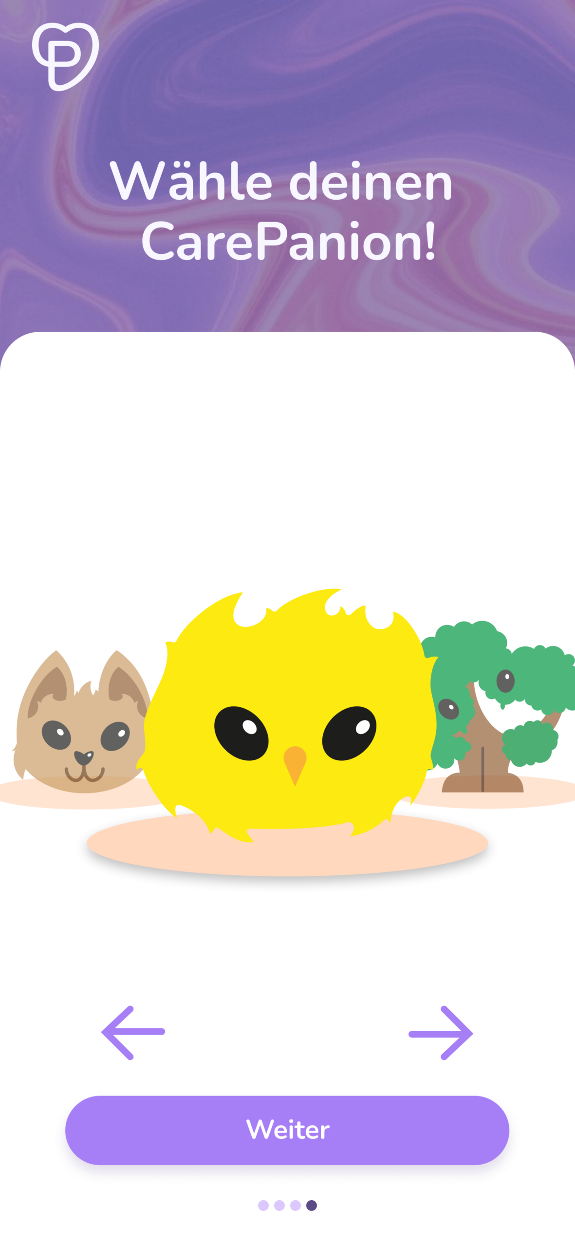 Voreinstellungen (1)